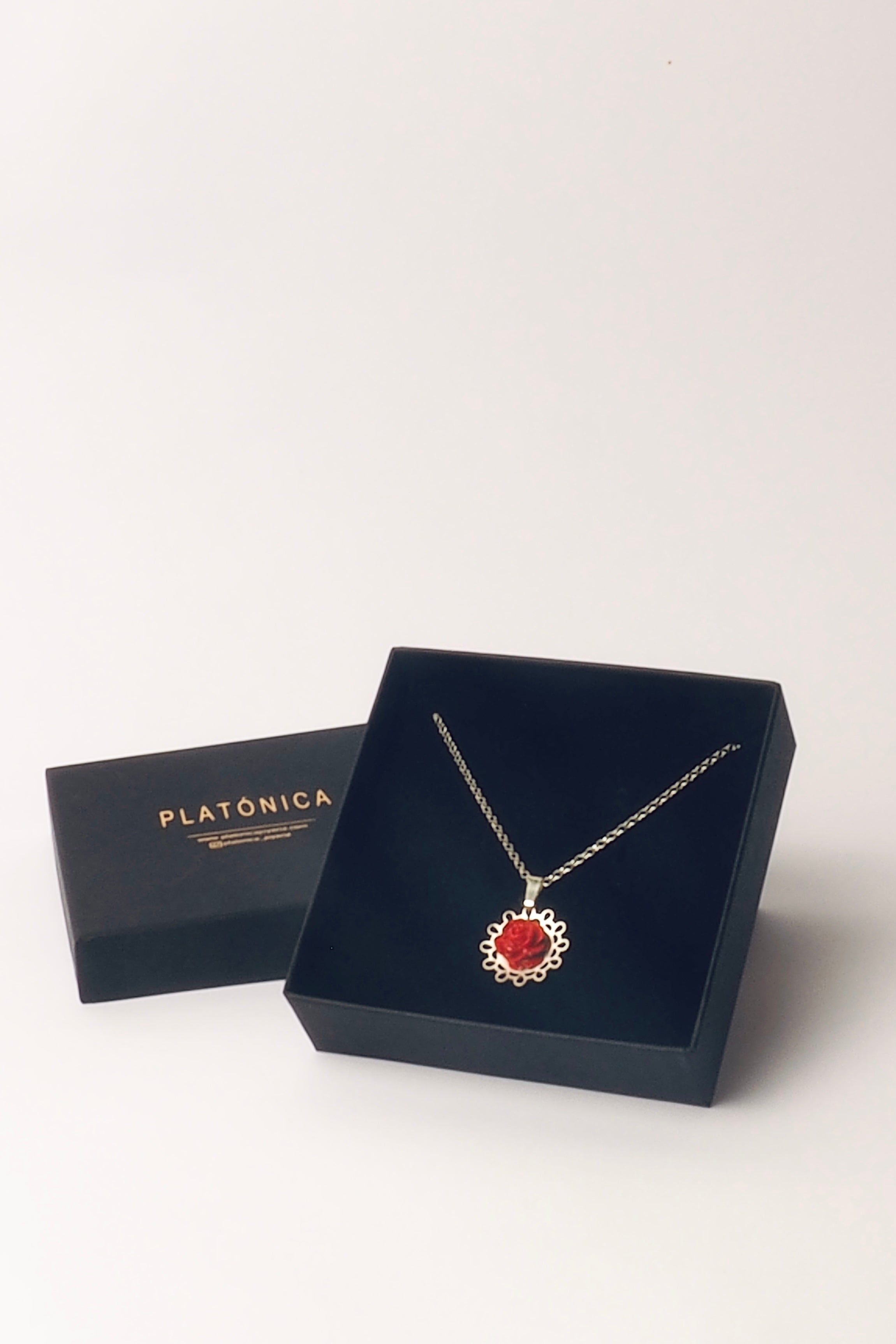 Colgante Cadena Las Flores Plata